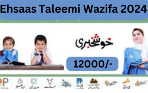 Ehsaas Taleemi Wazifa 2024