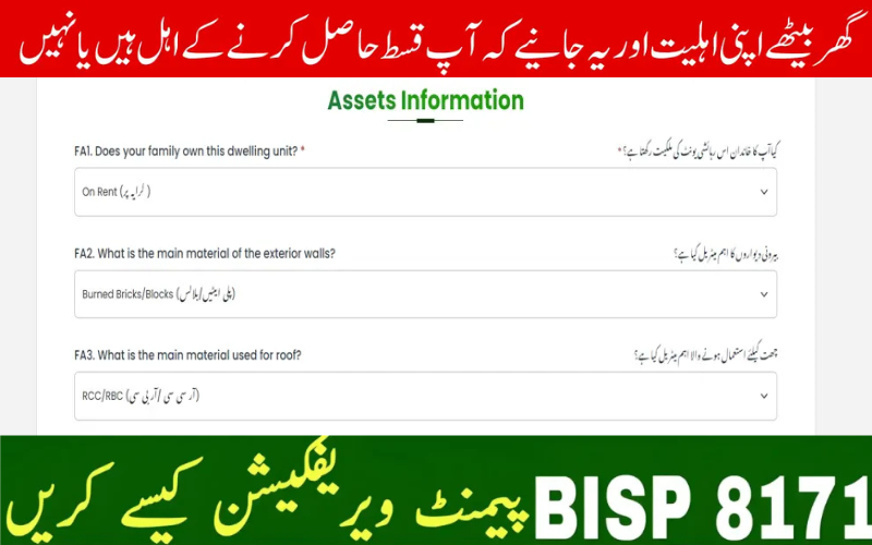BISP 8171 Payment Verification