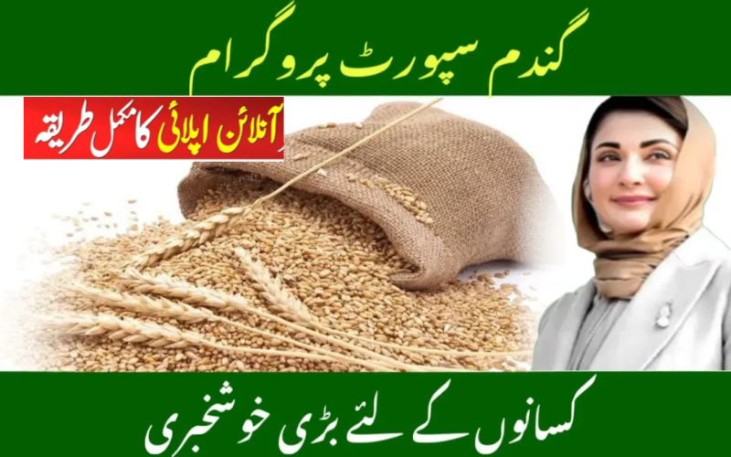 Wheat Support Program 2025